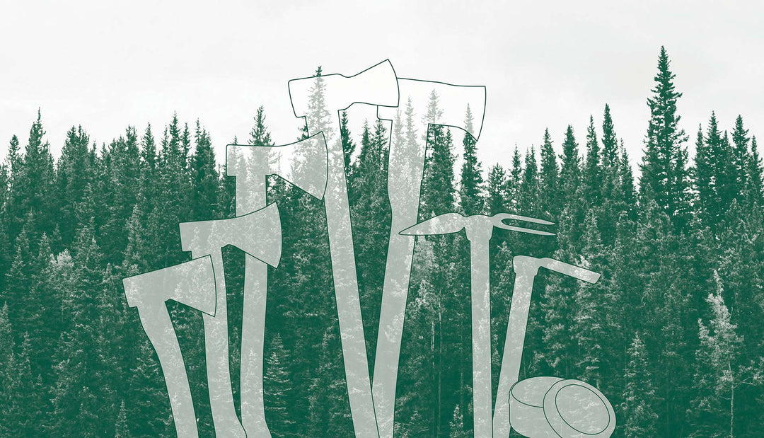 Evergreens