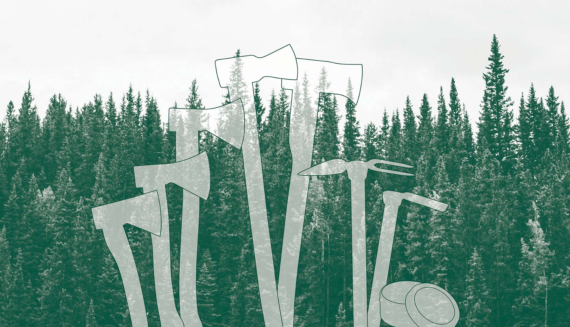 Evergreens