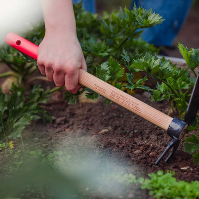 Garden Hoe “Lily” with 2 prongs