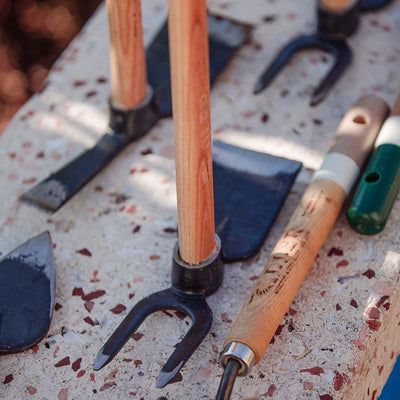 Garden Hoe “Lily” with 2 prongs