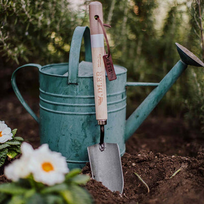 Shovel “Holly”
